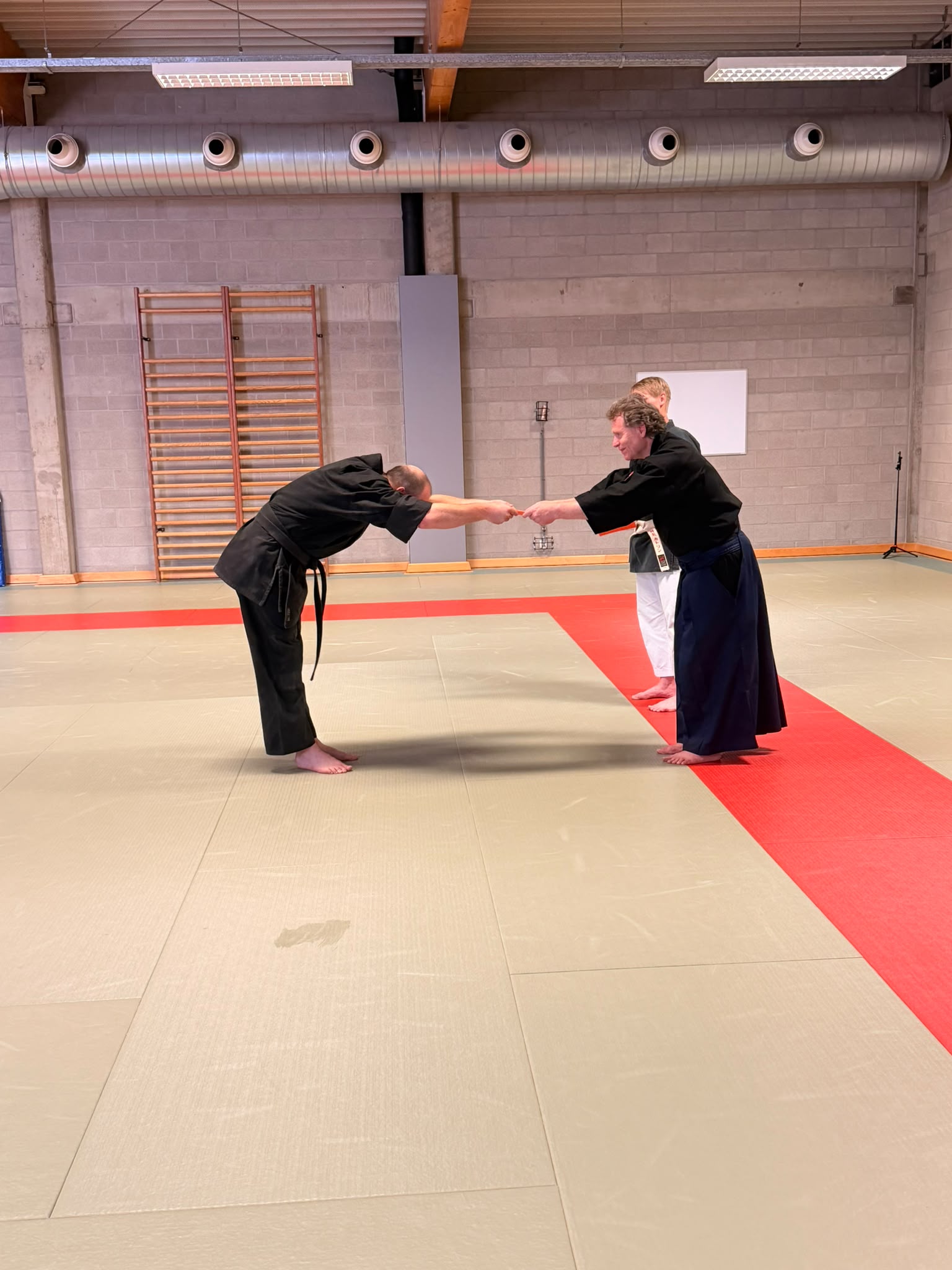Chi Ryu Aikijitsu Gürtelprüfung in Belgien